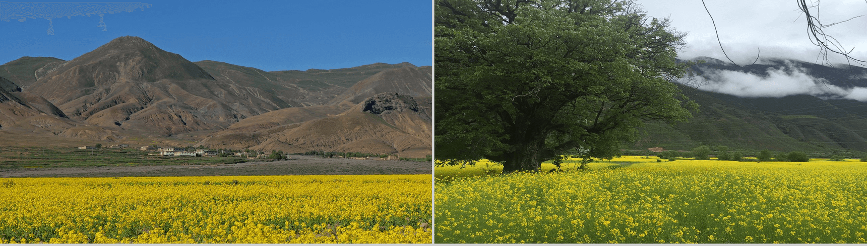 西藏印象旅游宣传PPT模板-11