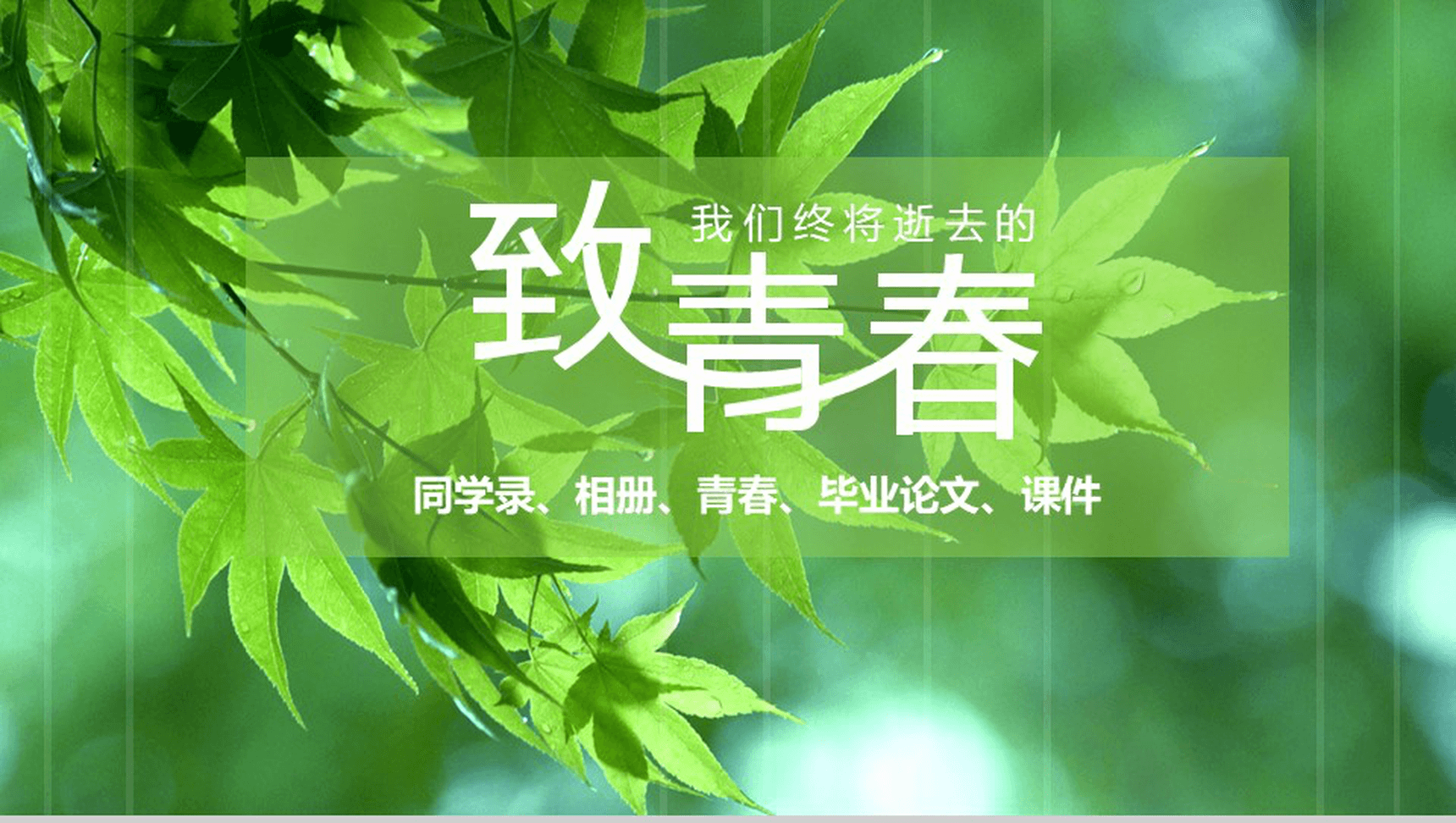 绿色简约致青春毕业同学纪念相册PPT模板