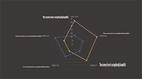 简洁实用雷达图图表PPT模板