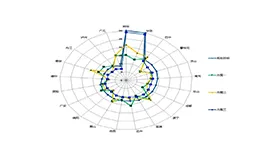 多项目复杂的PPT雷达图模板